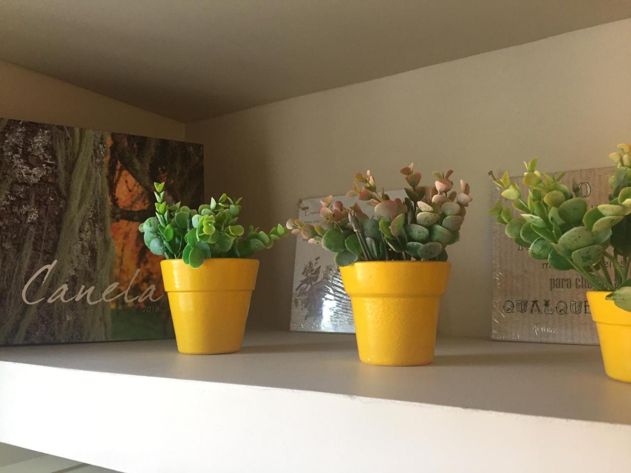 Apartamento Em Canela Buitenkant foto